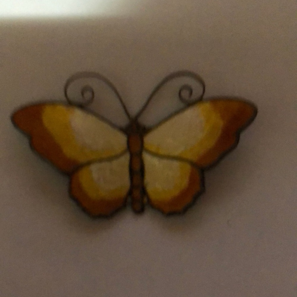 David Anderson BUTTERFLY plus